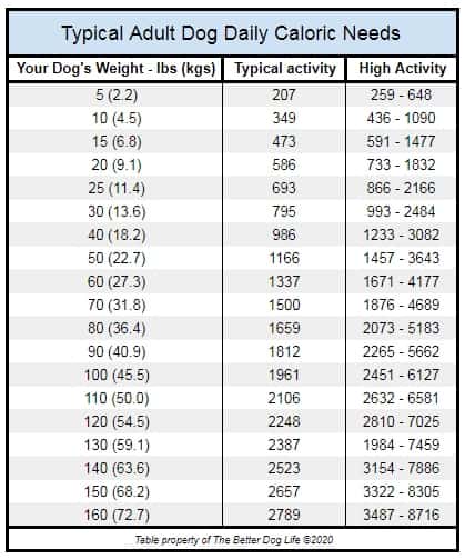 Do Dogs Always Want To Eat Full Guide To Feeding The Better Dog Life