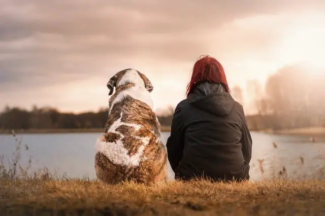 Dog and woman sitting beside each other looking at a lake