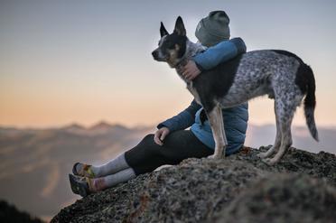 can dogs learn different languages